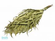 Веник эвкалиптовый, в упаковке, "Банные штучки" (БАННЫЕ ШТУЧКИ)