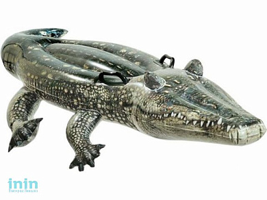 Надувной плотик Аллигатор, 170х86 см, INTEX (от 3 лет)